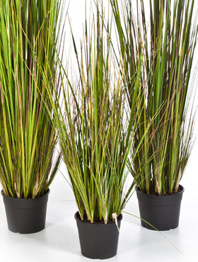 Grass bamboo -    90