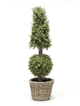 Buxus Pyramide-Kügel    130