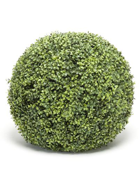 Boxwood Ball 50