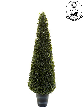 Hedera Piramid (UV-resistente) 40   135