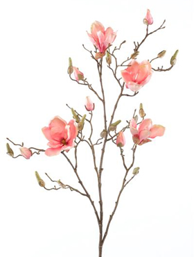 Magnolia Pink branche    105